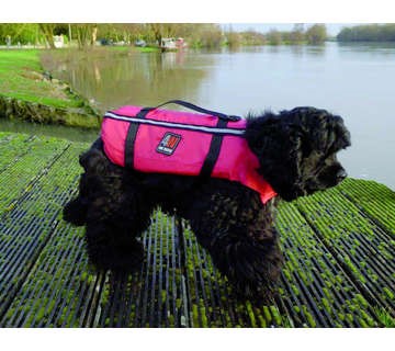 Gilet sauvetage pour chien